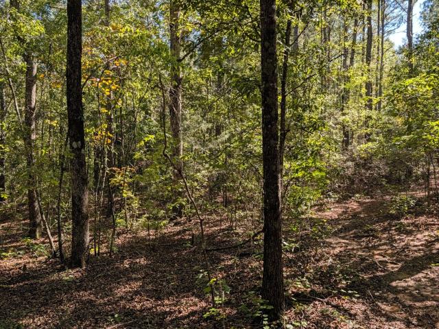 Land for sale in Liberty Hill, Milner