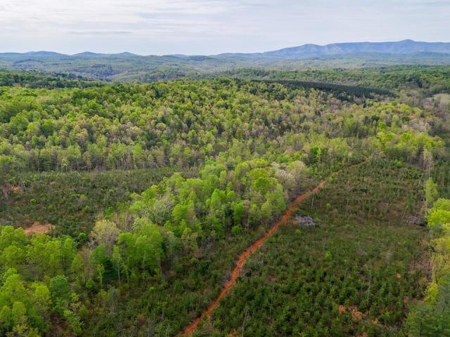 Land for sale in Virginia