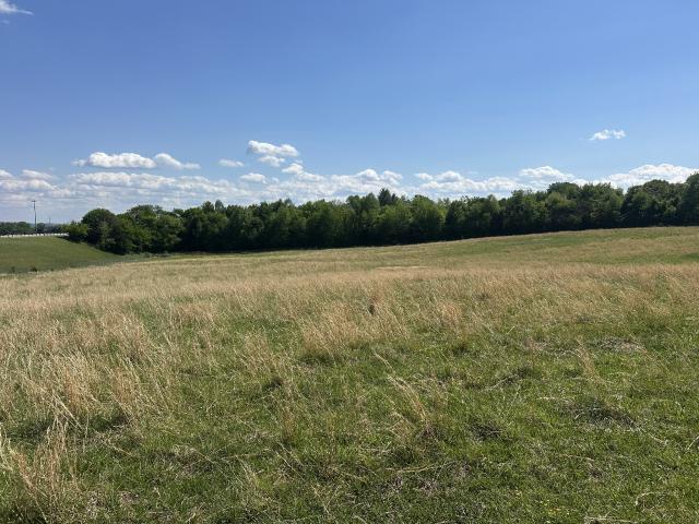 Land for sale in Tennessee