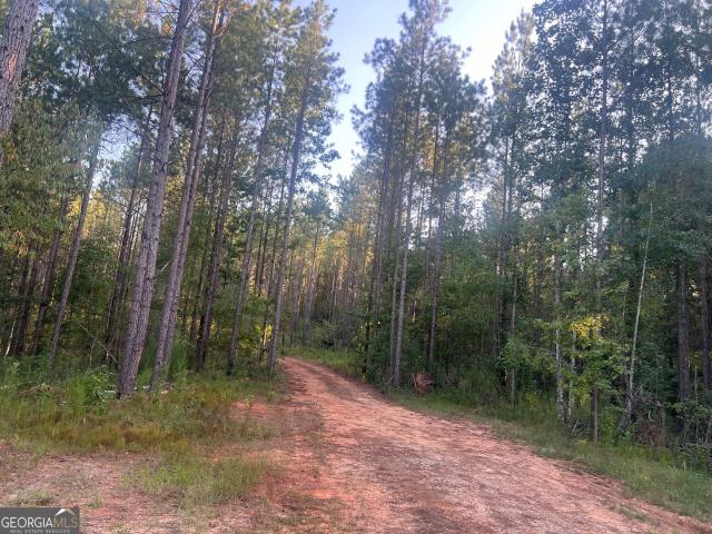 Land for sale in Roberta, Georgia