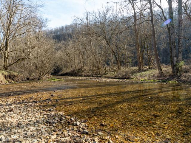 Land for sale in Tennessee