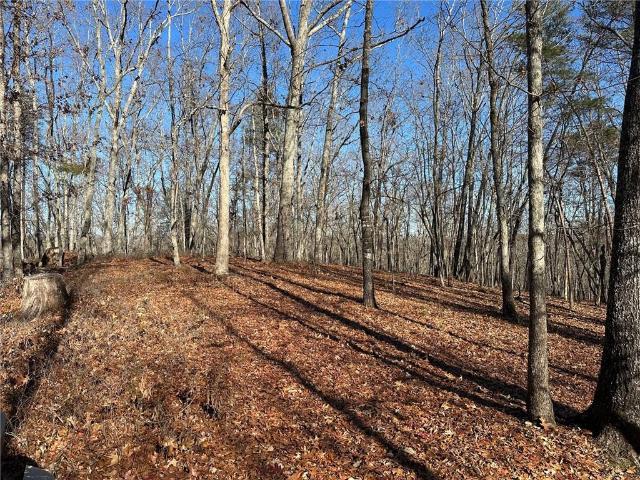 Land for sale in Dawsonville, Lumpkin County