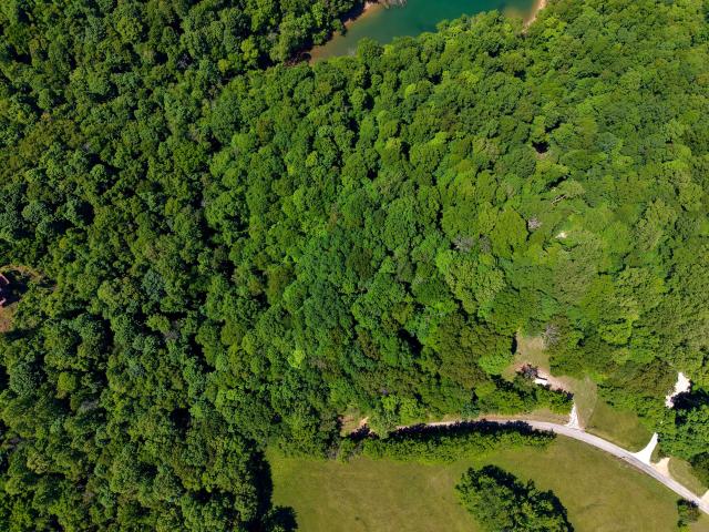 Land for sale in Tennessee