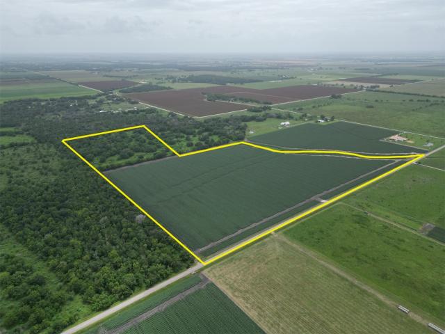 Land for sale in Damon, Texas