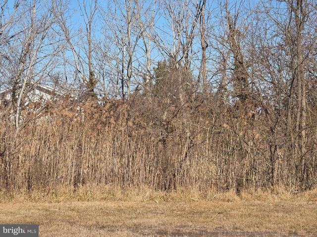 Land for sale in Crisfield, Maryland