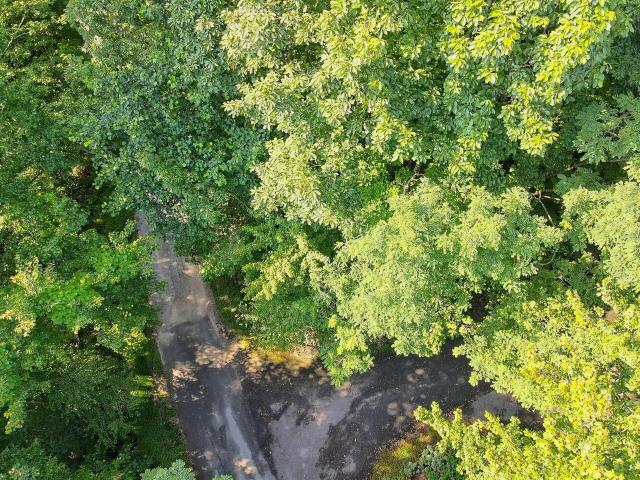 Land for sale in Tiger, Rabun County