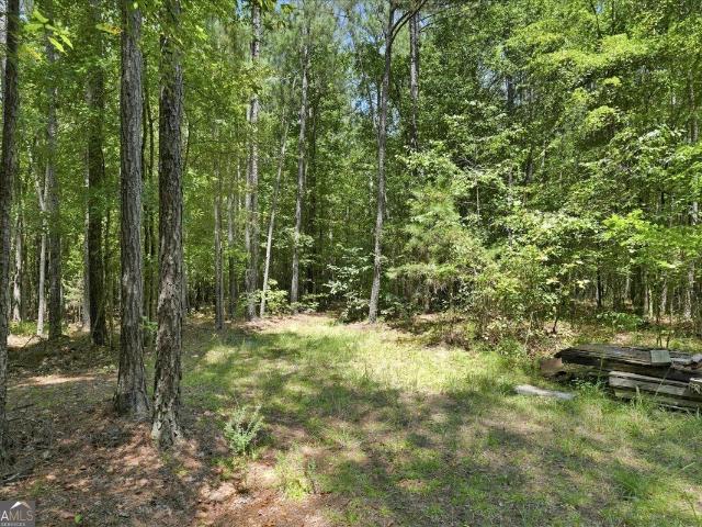 Land for sale in Elbert, Georgia
