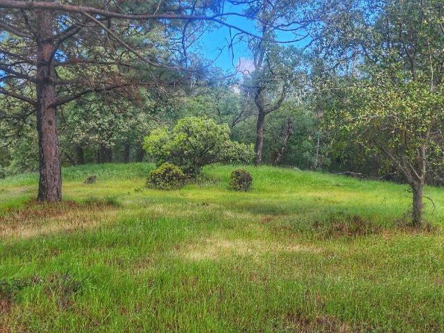 Land for sale in Cool, California