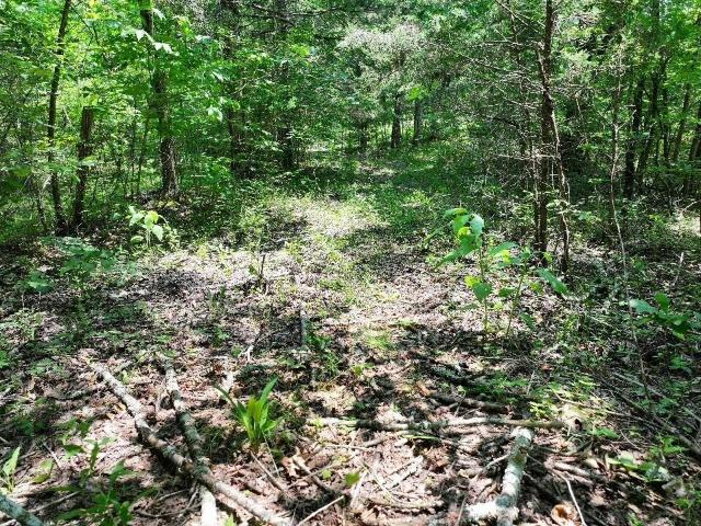 Land for sale in Tennessee