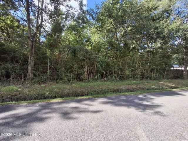 Land for sale in Pearlington, Mississippi