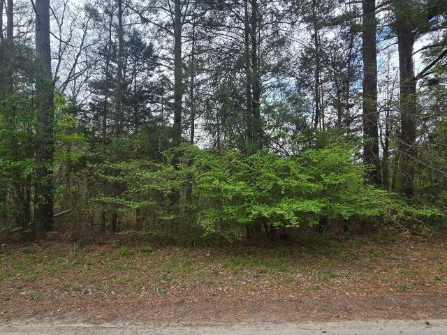 Land for sale in Franklin, Georgia