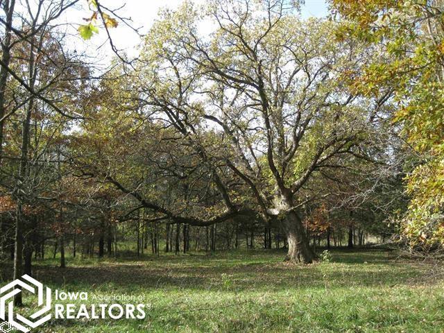 Land for sale in Fairfield, Iowa