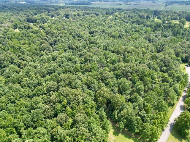 Land for sale in Central City, Muhlenberg County