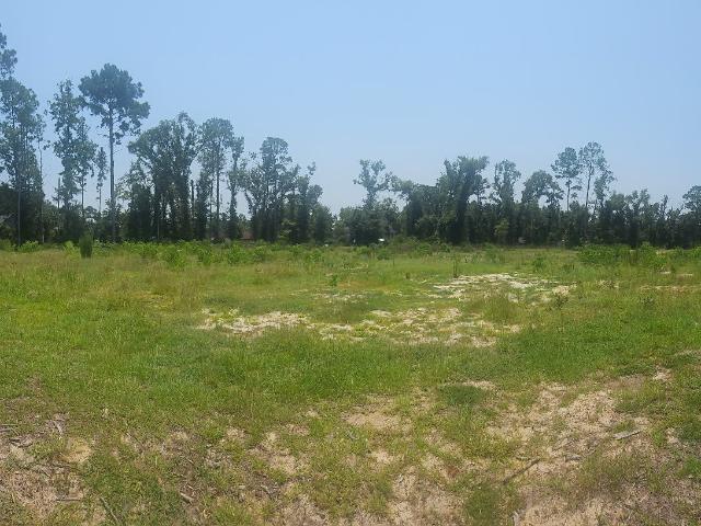 Land for sale in Vidalia, Georgia