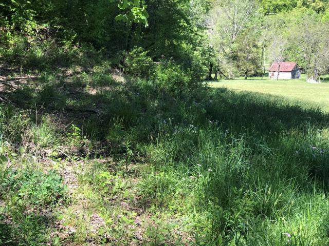 Farm for sale in Monticello, Wayne County