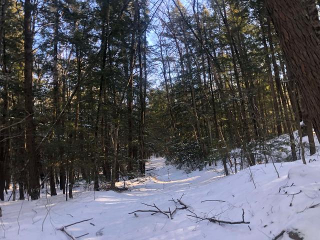 Land for sale in New Hampshire