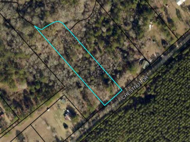 Land for sale in Dodge, Georgia