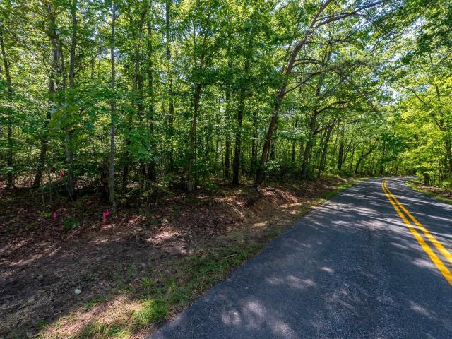 Land for sale in Porters, Albemarle County
