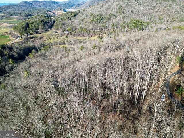 Land for sale in Georgia