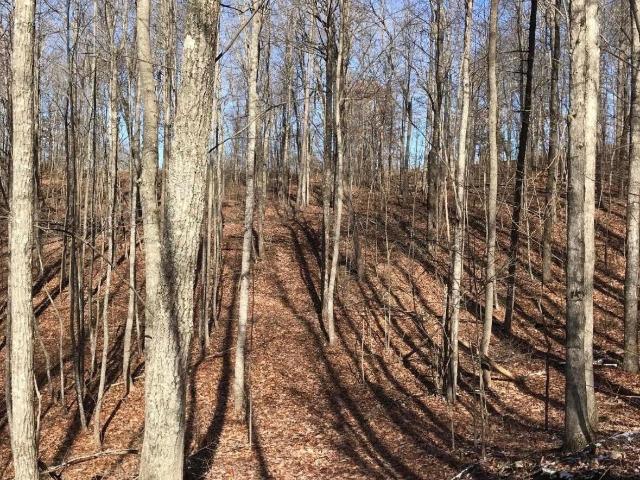 Land for sale in Tennessee