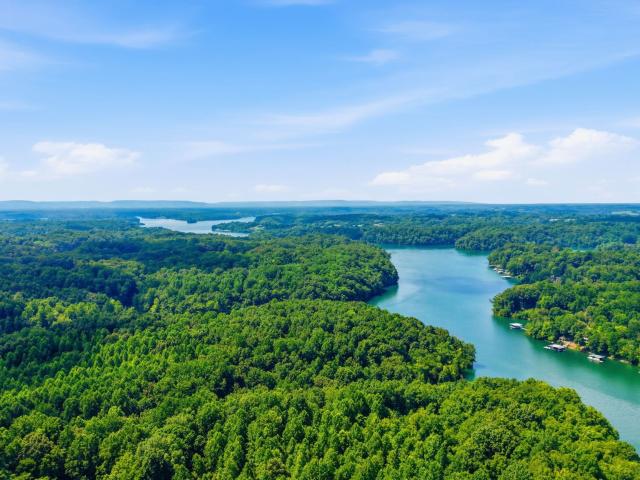 Land for sale in Lynchburg, Middle Tennessee