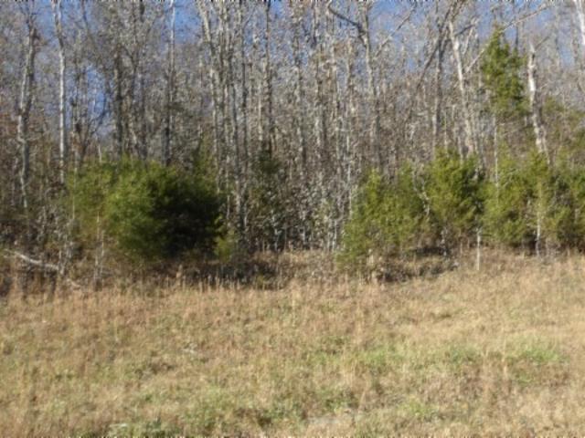 Land for sale in Tennessee