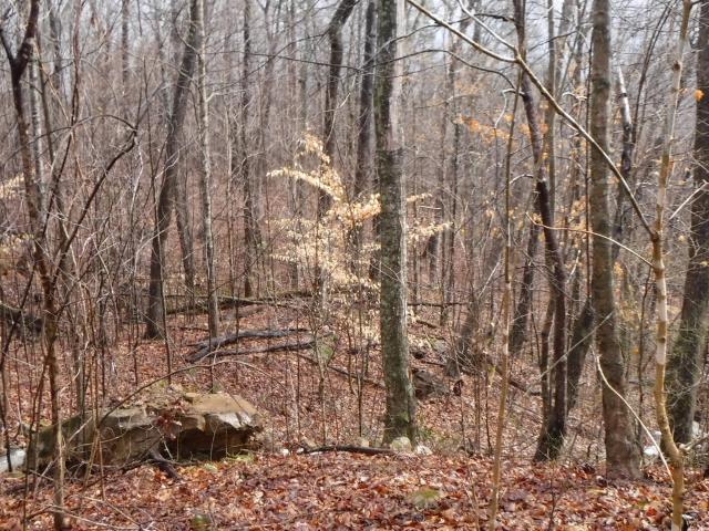 Land for sale in Tennessee