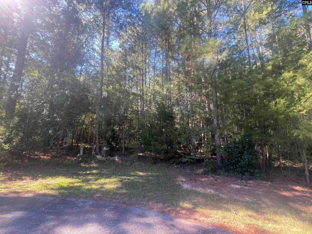 Land for sale in Savannah Lakes Village, McCormick County