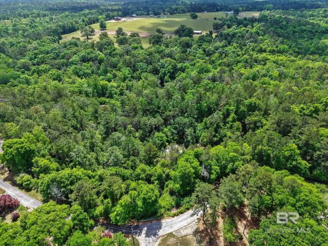 Land for sale in Jackson, Alabama