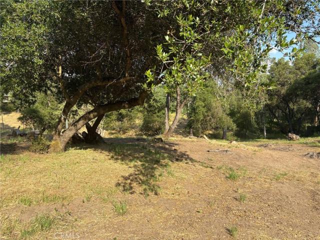 Land for sale in Coarsegold