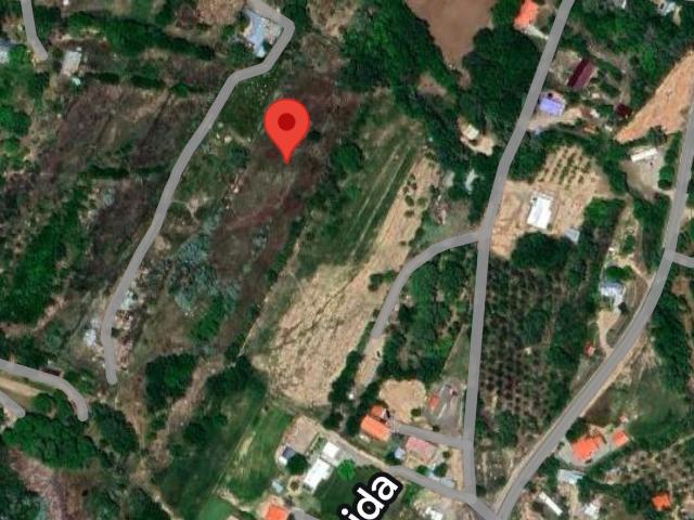 Land for sale in New Mexico