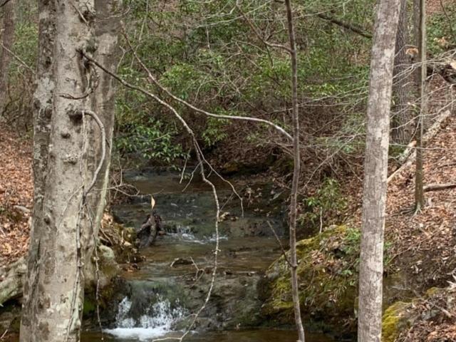 Land for sale in Virginia