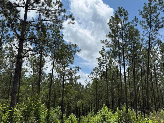 Land for sale in South Carolina