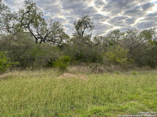Land for sale in Jourdanton, Texas