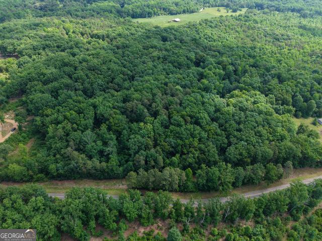 Land for sale in Banks, Georgia
