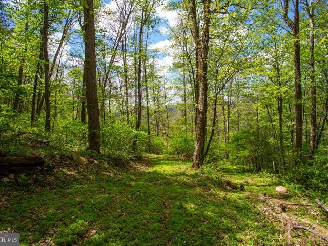 Land for sale in Virginia