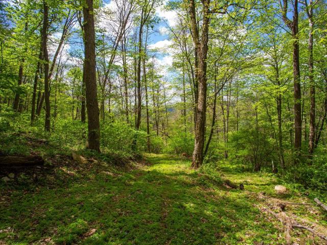 Land for sale in Virginia