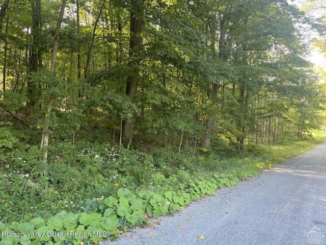 Land for sale in East Nassau, New York