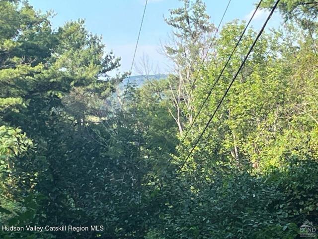 Land for sale in East Nassau, New York