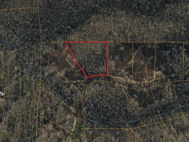 Land for sale in Trenton, Georgia
