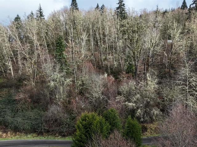 Land for sale in Mossyrock, Washington