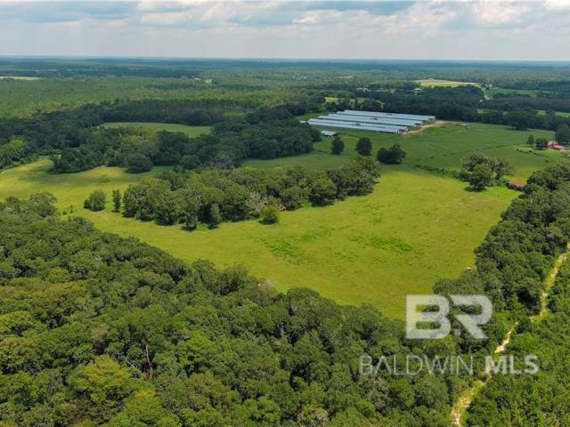 Land for sale in Florala, Alabama