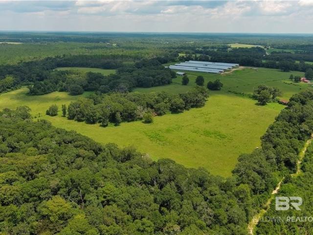 Land for sale in Florala, Covington County