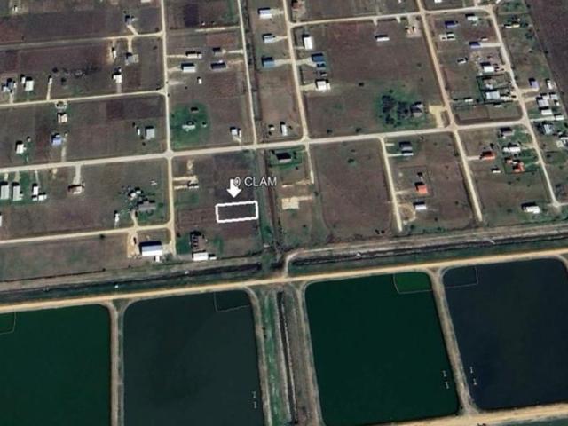 Land for sale in Palacios