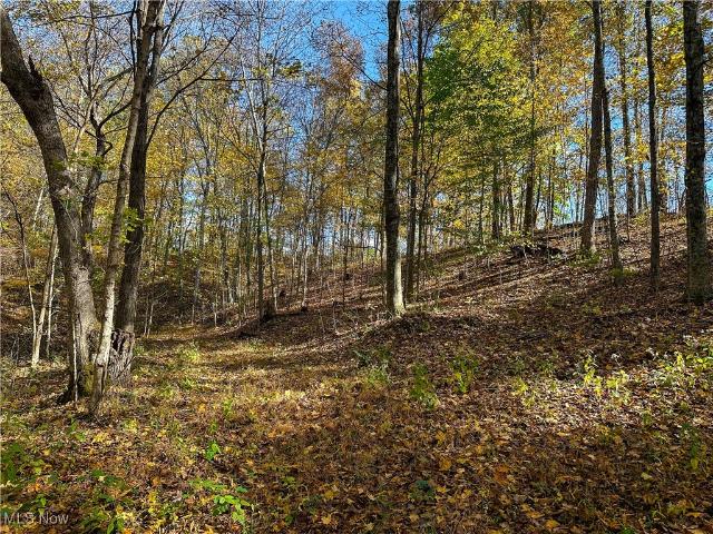 Land for sale in Ohio