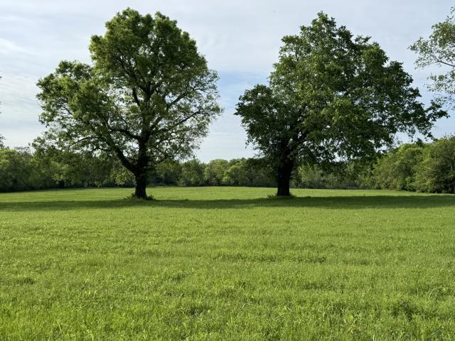 Farm for sale in Tennessee