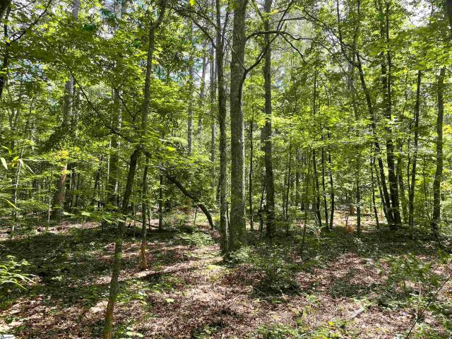 Land for sale in Honea Path, South Carolina