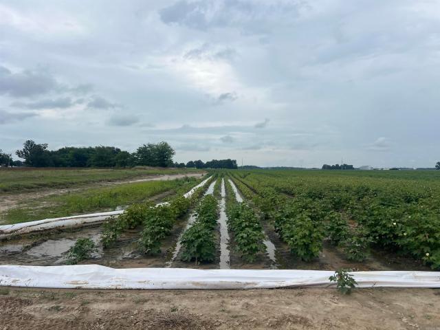 Land for sale in Ark
