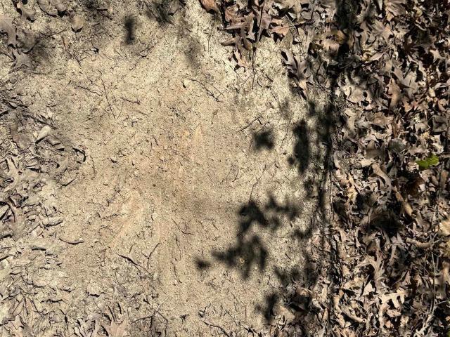 Land for sale in Ark