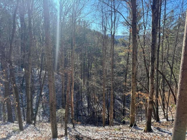Land for sale in Tennessee
